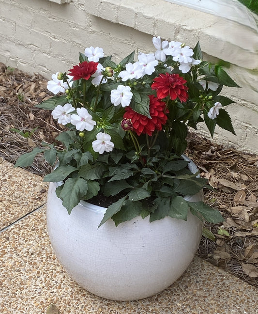 Classic Patio Container - Small