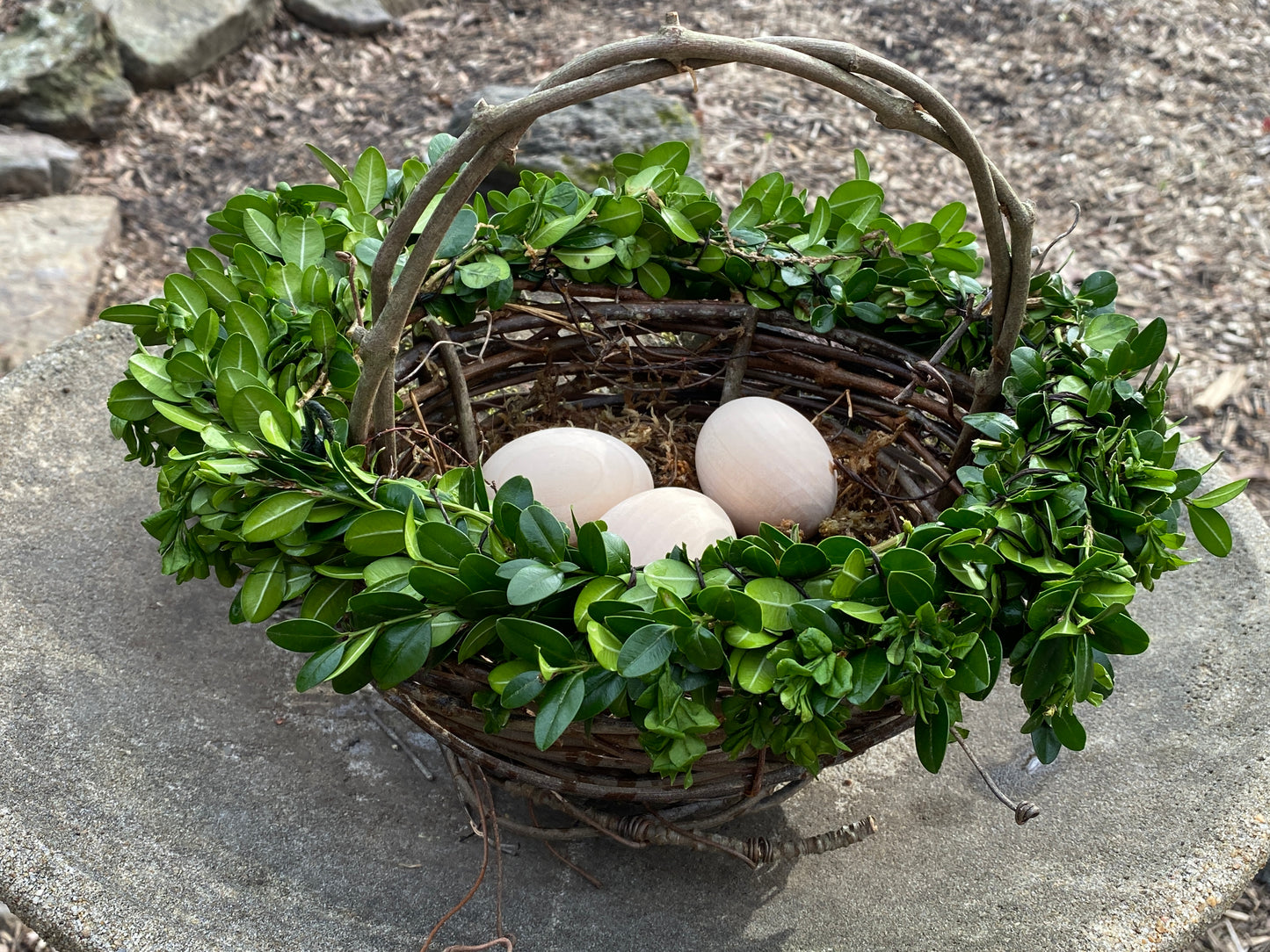 Basket with Boxwood Trim