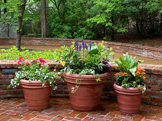 Patio Container - Large