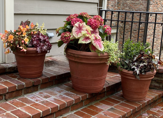 Patio Container - Medium