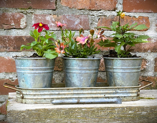 Rustic Patio Container Trio